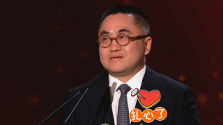 久久久久成人精品一区二区